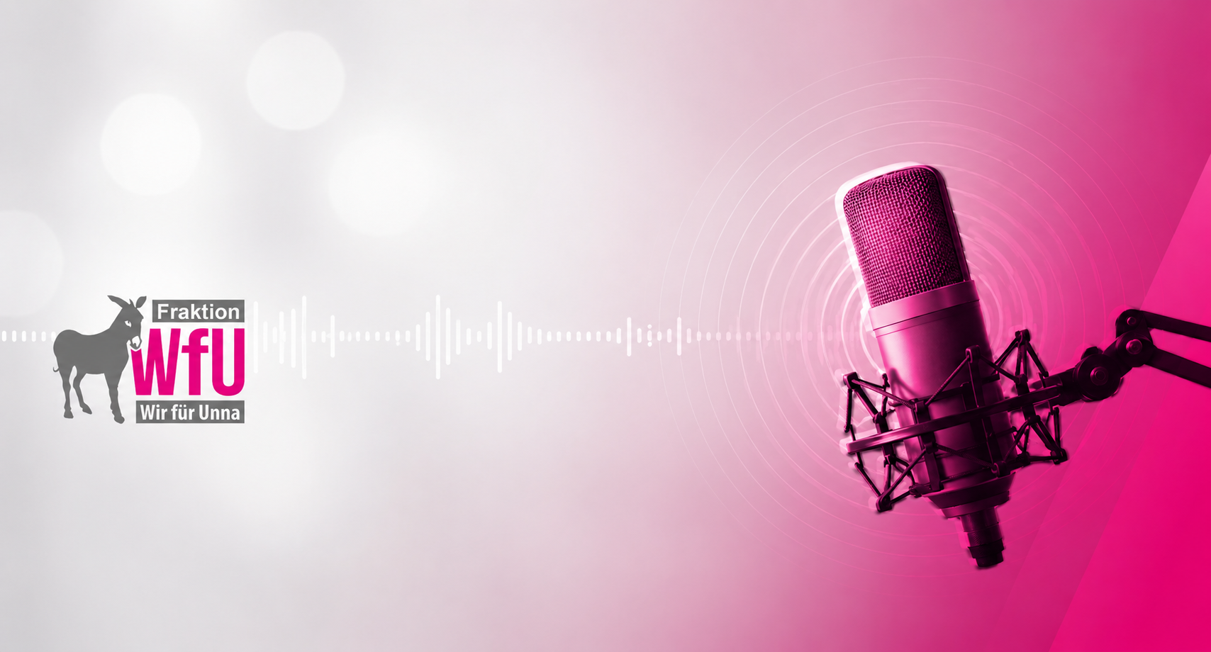 Podcasts